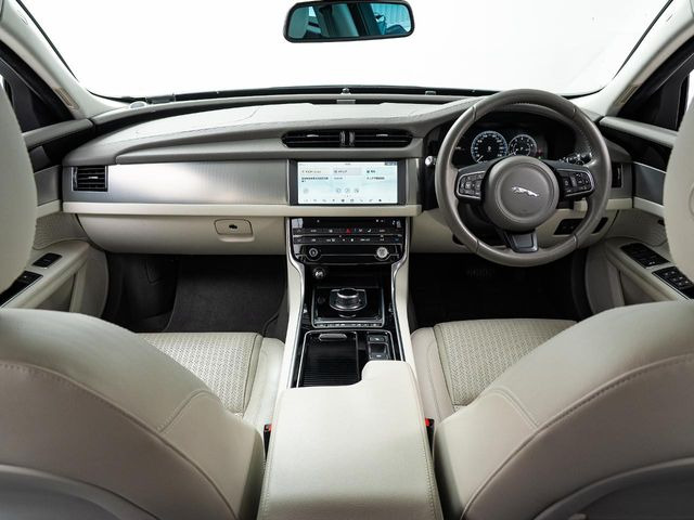 XF