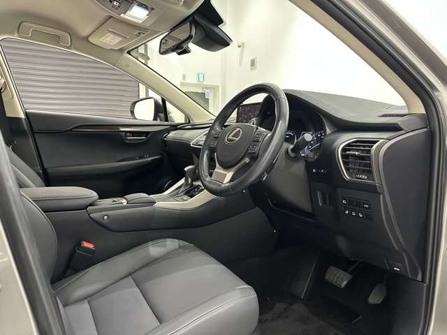 NX300h Iパッケージ