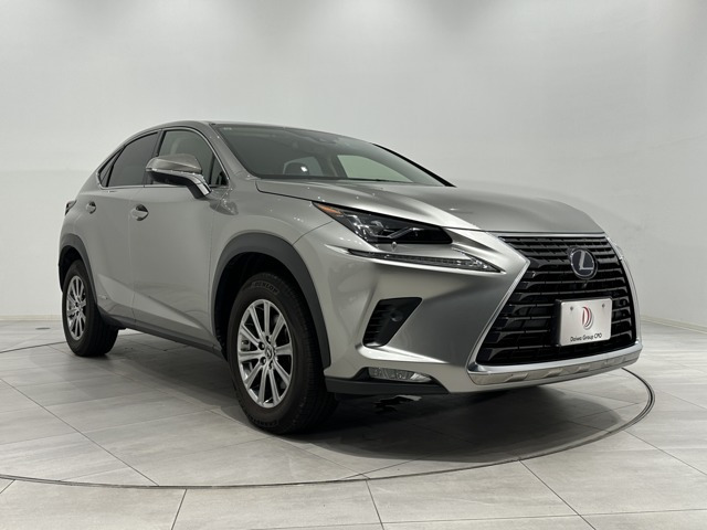 NX300h Iパッケージ