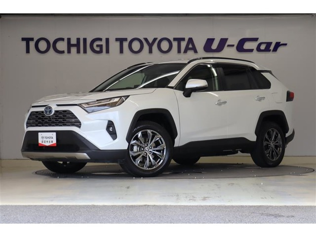 RAV42.5 ハイブリッド G E-Four 4WD