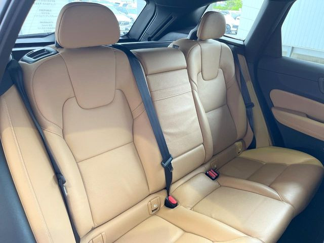 �㕔���Ȃɂ͋C�ɂȂ�悤�ȃL�Y�E�����ւ��蓙�A�傫�ȃ_���[�W�͂Ȃ��A�ƂĂ��ǍD�ȏ�Ԃł��B
