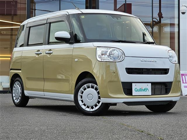 ムーヴキャンバスストライプス X