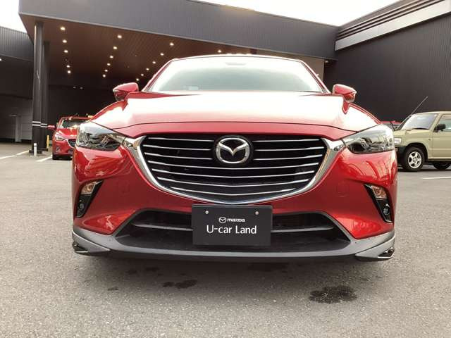 CX-31.5 XD Lパッケージ