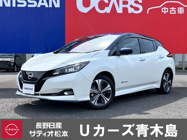 リーフe+ G