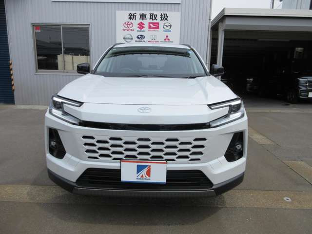 RAV42.5 Z E-Four 4WD
