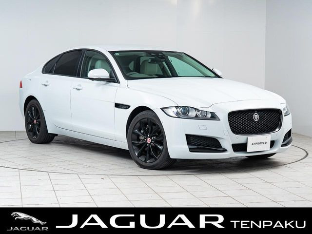 XF