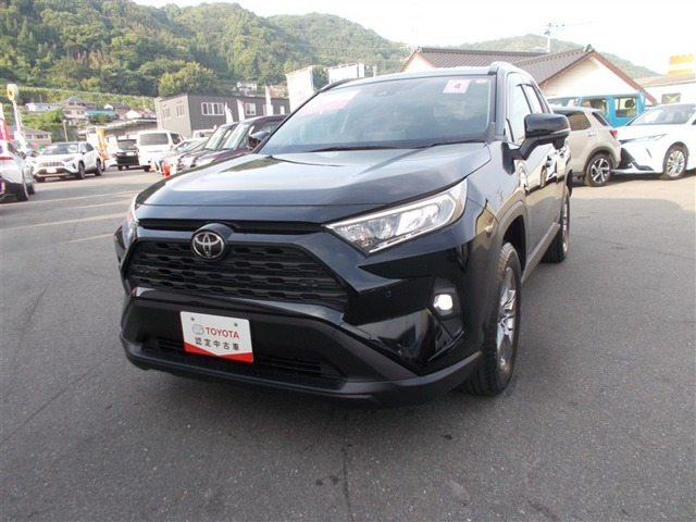 RAV42.0 X