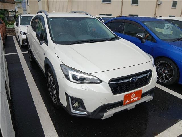 XV