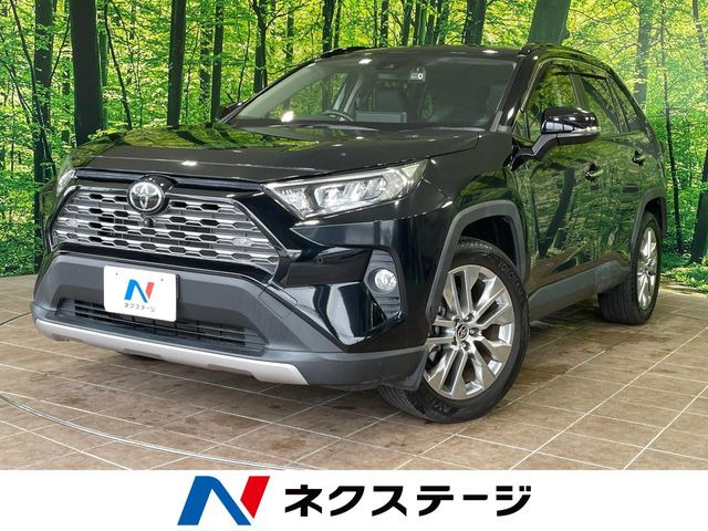 RAV42.0 G Zパッケージ 4WD