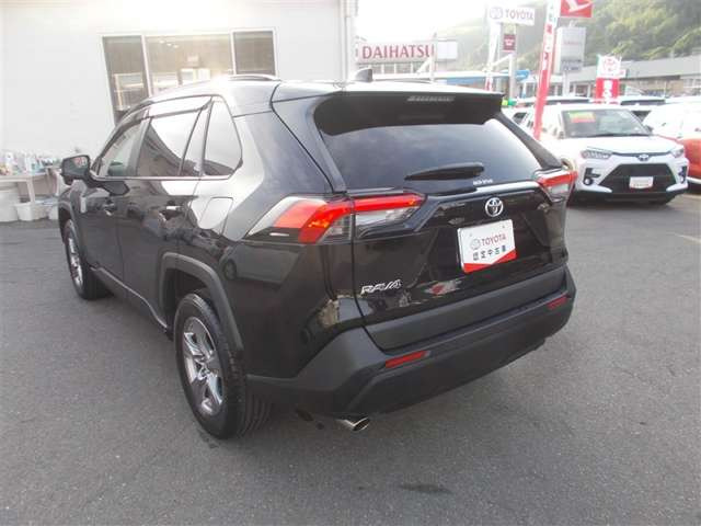 RAV42.0 X