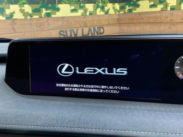 UX250h バージョンC