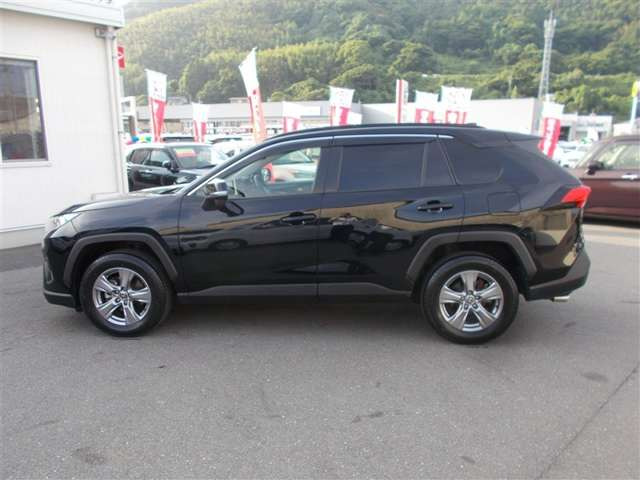RAV42.0 X
