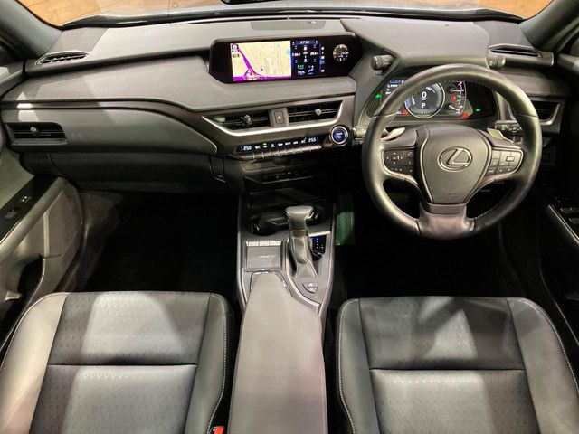 UX250h バージョンC
