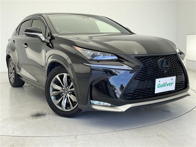 NX300h Fスポーツ