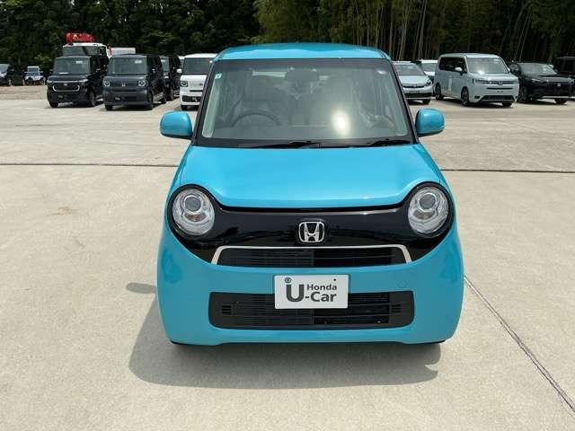 N-ONEG
