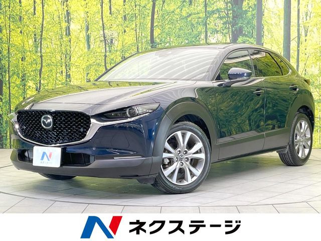 CX-302.0 20S プロアクティブ