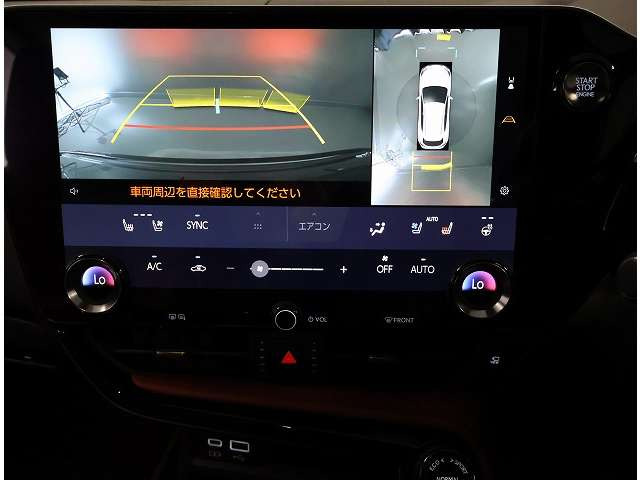 NX250 バージョンL