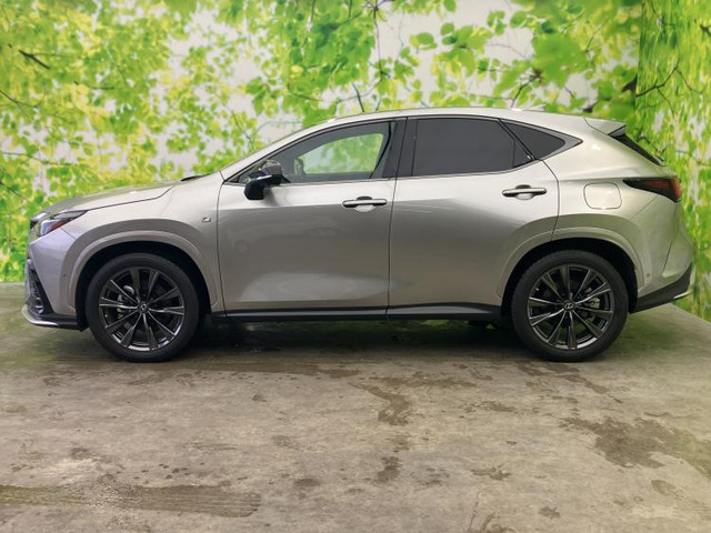 NX350h Fスポーツ