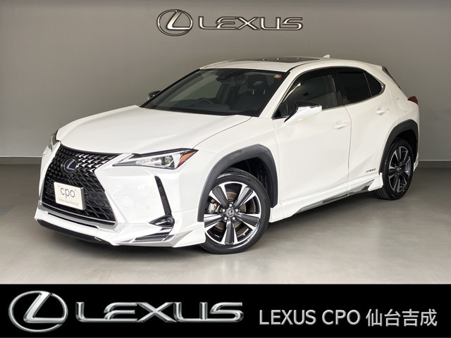 UX250h バージョンC 4WD
