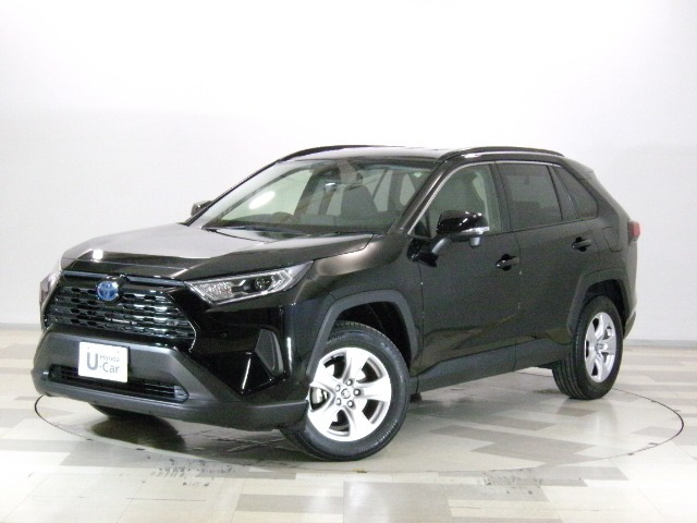 RAV42.5 ハイブリッド X