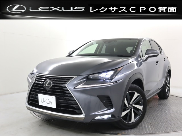 NX300 Iパッケージ