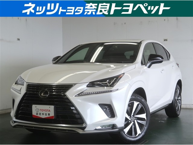NX300