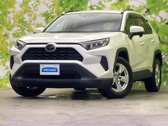 RAV42.0 X