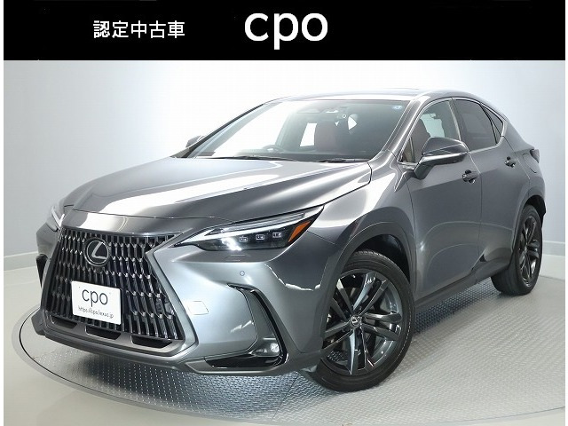 NX250 バージョンL