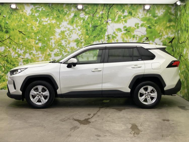 RAV42.0 X