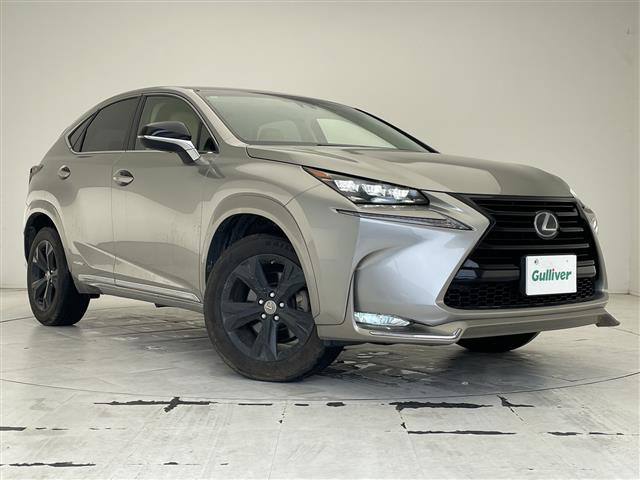 NX300h アーバンスタイル