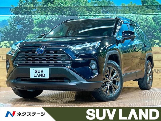 RAV42.5 ハイブリッド X