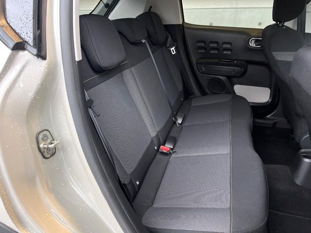 ���㕔���Ȃ��C�ɂȂ�悤�ȃL�Y�E�����ւ��蓙�A�傫�ȃ_���[�W�͂Ȃ��A�ǍD�ȏ�Ԃł��B