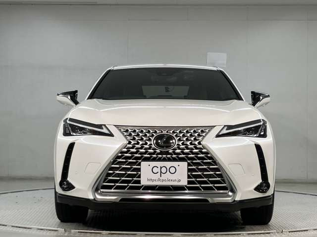 UX250h グレイスフル エクスプローラー