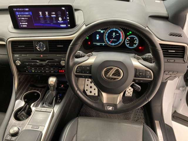 RX300 Fスポーツ