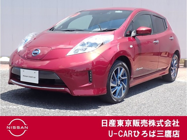 リーフ30kWh X エアロスタイル サンクス エディション
