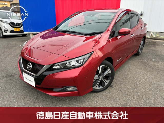 リーフG