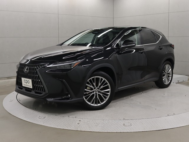 NX250 バージョンL