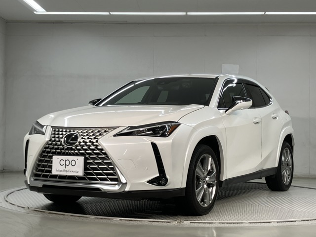 UX250h グレイスフル エクスプローラー