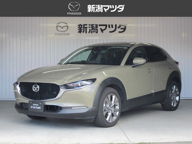CX-301.8 XD ツーリング 4WD