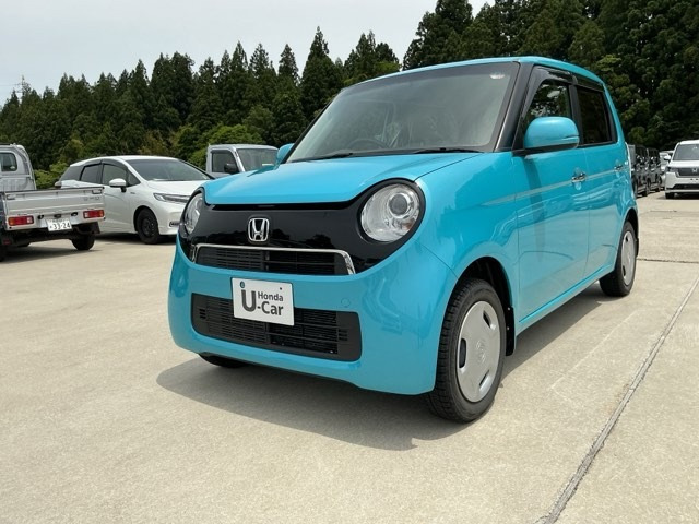 N-ONEG