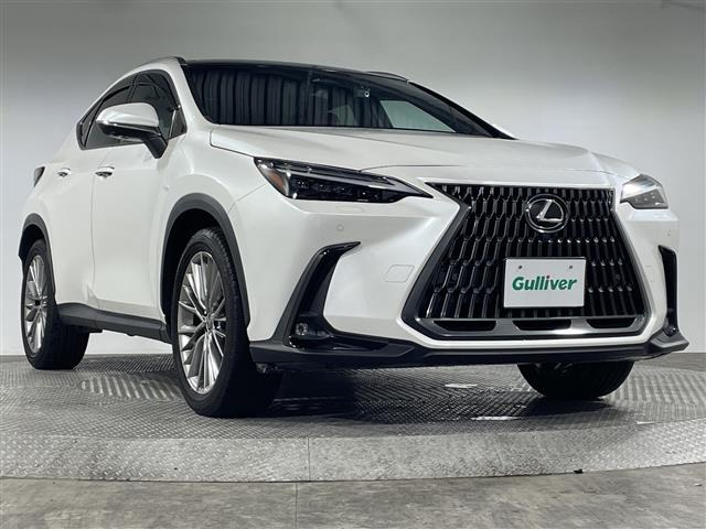 NX350h Fスポーツ