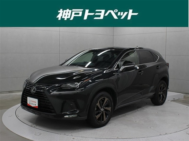 NX300 ブロンズ エディション
