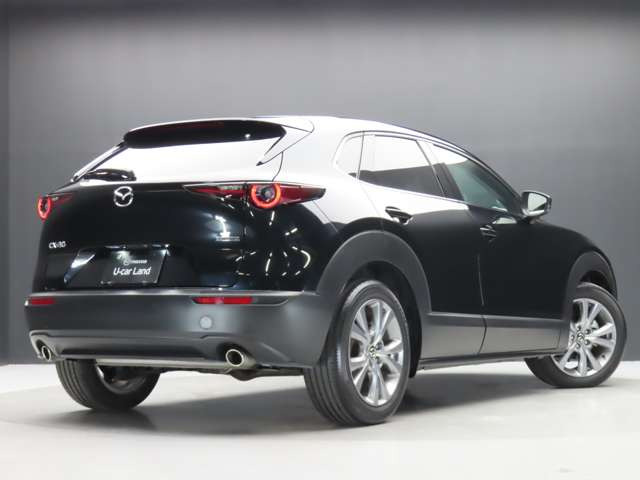 CX-302.0 20S Sパッケージ