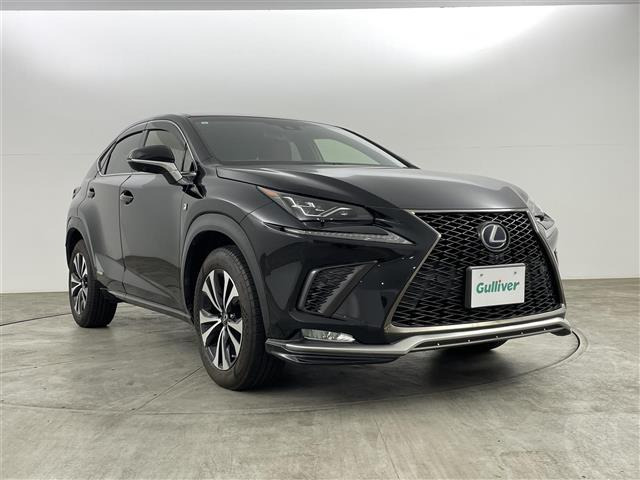 NX300h Fスポーツ