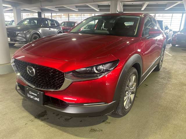 CX-302.0 20S プロアクティブ