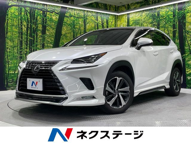 NX200t Iパッケージ