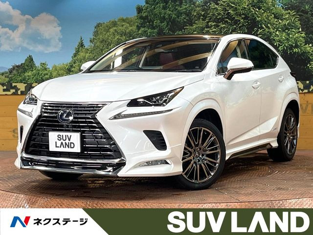 NX300h バージョンL