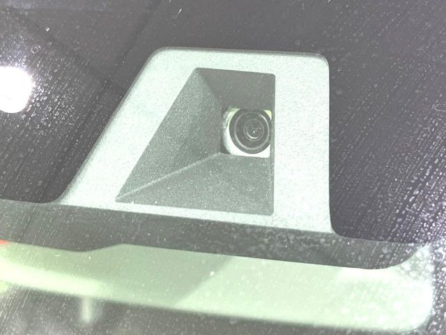 ハスラータフワイルド