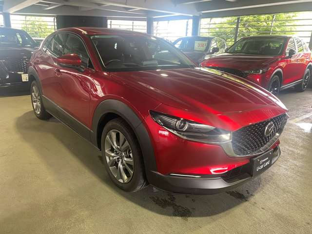 CX-302.0 20S プロアクティブ