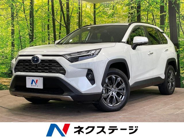 RAV42.5 ハイブリッド G E-Four 4WD